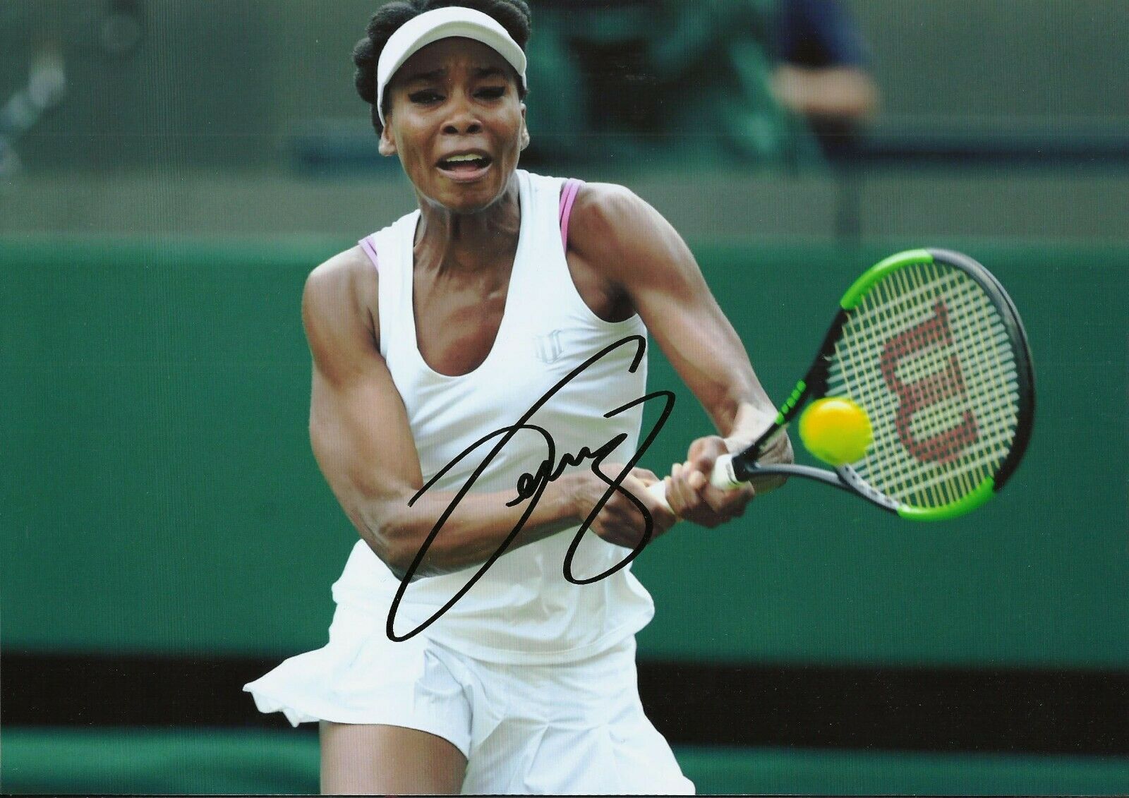 Venus Williams Autographed Signed Photo
